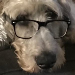 Meet your Posher, Tara